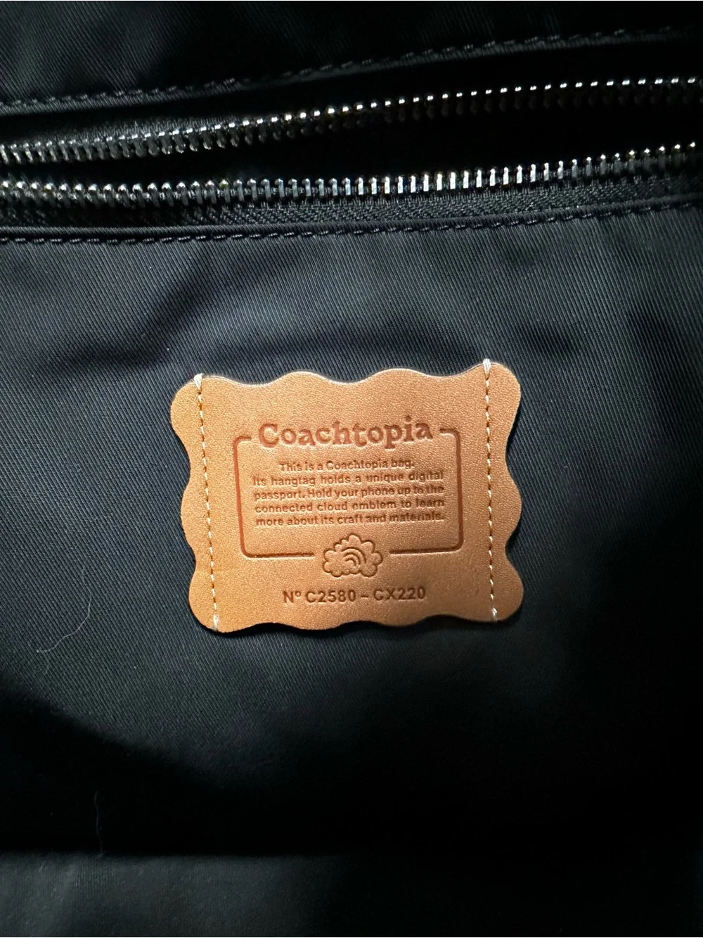 Coachtopia Alter ego hobo bag